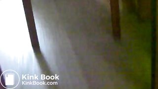 she dont shit for days save big shit turt