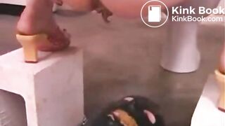 FULL TOILET TRAINING SESSION