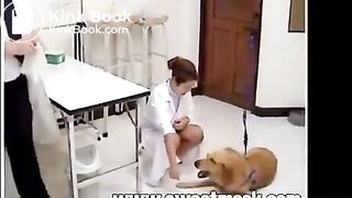 Testing Dog Shit