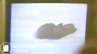 Random Girls Shitting Videos