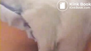 Eden Fetisch - Eden Pee