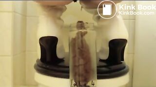 Perfect Turd Preservation 2