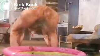 Sharka-0407-samples-wmv