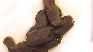 7914_poop_shitting