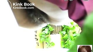 Japanese Hidden Potty Cam