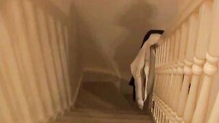 Scat orgy  scat