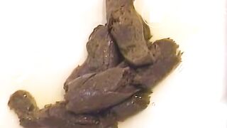 Japanese Train wreck shit logs