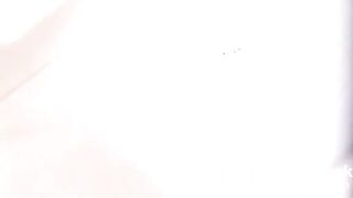 Japanese Train wreck shit logs