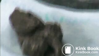 clip88
