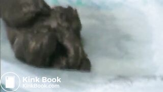 clip88