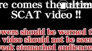 OMG, What a Toiletflv