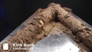 OMG, What a Toiletflv