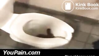 girl pooping at restaurants toiletmp4