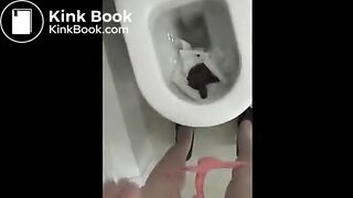 pooping compilation Dec 2013