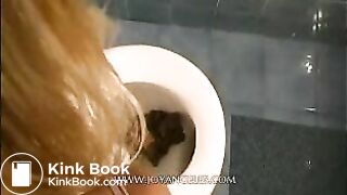 Mega viel Scheisse im Klo