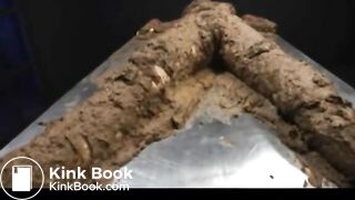 Asian Ultimate Shit And Vomit Porn