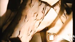 ShitFuck - OUR LOVE SHACK