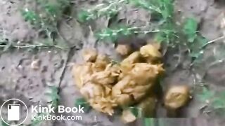 2 Girls Outdoors Shitting