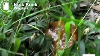 Asian outdoor scat 4