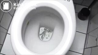 Shitty Toilet Seat