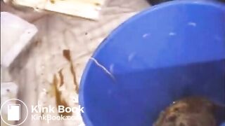 Asian Whore Fucked with Scat and Humiliation