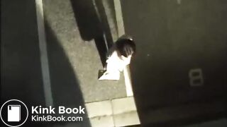 Asian Whore Fucked with Scat and Humiliation