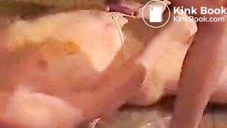 Joanne Paradigm Scat