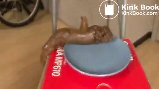 Fatties need to poop too