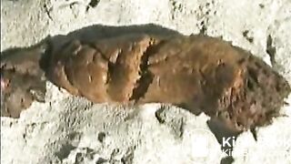 beach poop