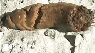 beach poop