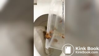 amateur girl pooping - Scat + Piss + Puke