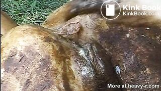 Shitty Pussy Insertions