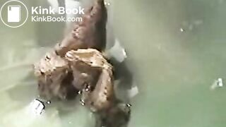 Aryn from CGP poops on a modified toilet