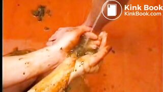 Anal Scat Fuck And Shit Smearing