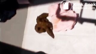 CSL - Classy Scat Ladies