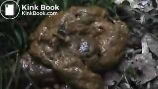 Japanese Girl Outdoor Pooping