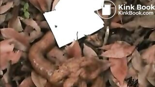 Japanese Girl Outdoor Pooping