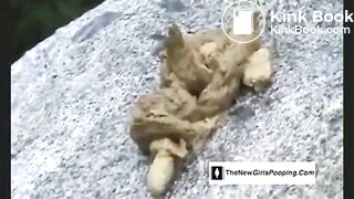 Elena Pooping Collection