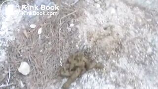 Elena Pooping Collection