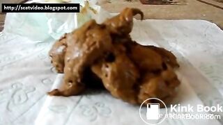 Amateur Teen Shits On Toilet Paper