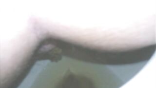 Big Shit in toilet