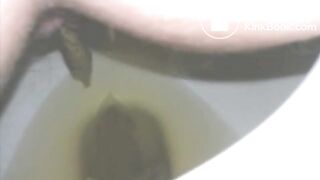 Big Shit in toilet