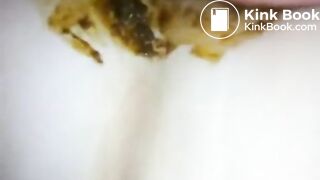 Proper scat fuck