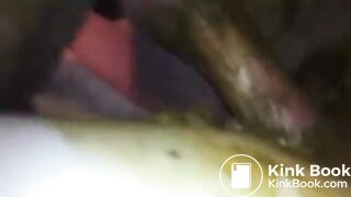 Proper scat fuck