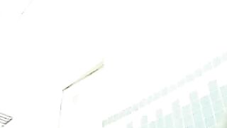 Public_Toilet_Poo_01
