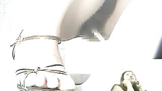 Public_Toilet_Poo_01