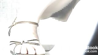 Public_Toilet_Poo_01