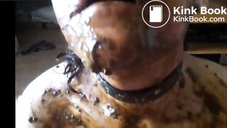 amateur covered in shit and fingered