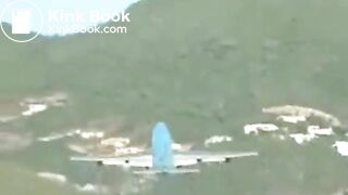 ana shitting on a plane