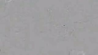 Fetish Sluts Shitting And Puking